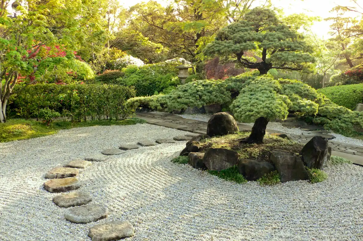 Taman Rumah Ala Jepang dengan Tanaman Bonsai